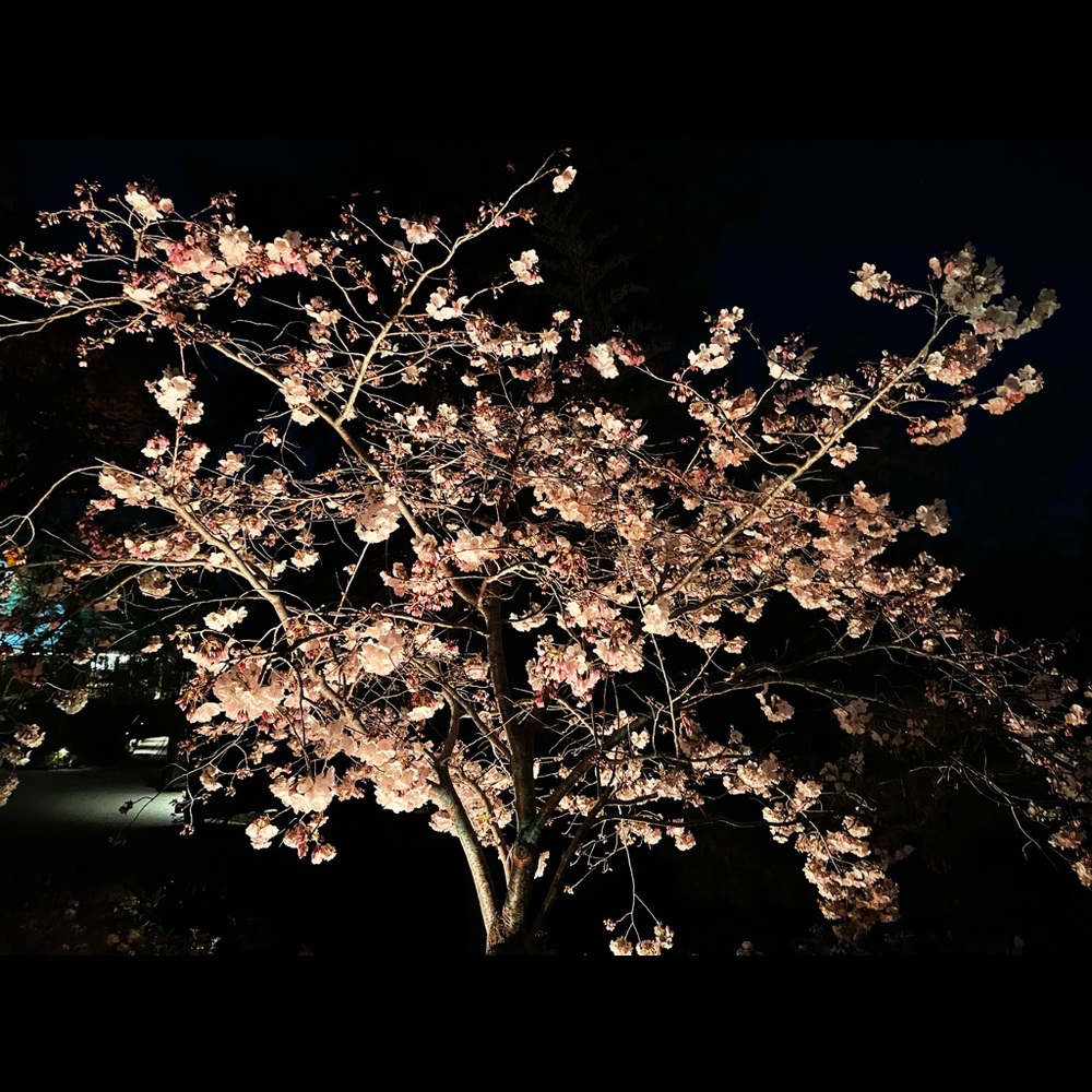Meet your Posher, Masako